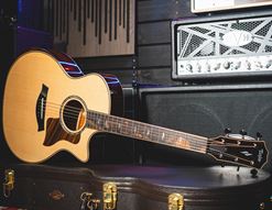 Our In-Depth Review of the Taylor 800 Series