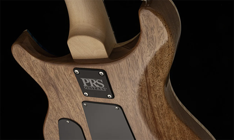 PRS CE24 Custom Colours! | guitarguitar