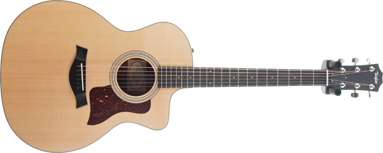 Best mini store acoustic electric guitar