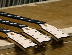A Brief History of ESP Guitars