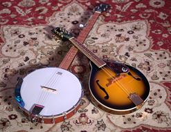 Top FOLK Instruments 2025