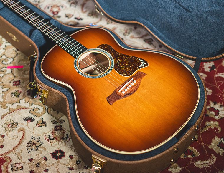 Taylor Gold Label: The Most Remarkable Taylor Guitar?