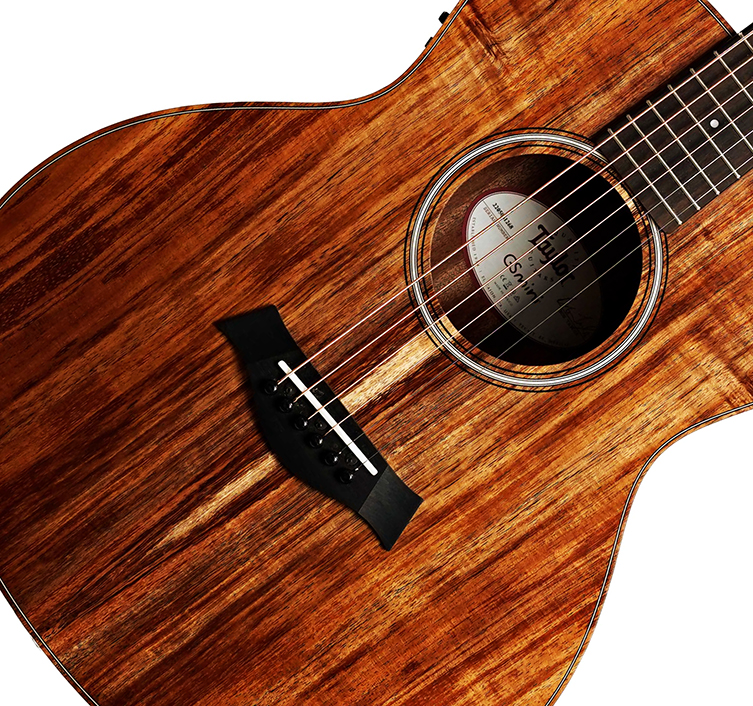 Taylor GS Mini Mahogany GS Mini Acoustic Guitar, Sapele, Mahogany Top :  : Musical Instruments, Stage & Studio