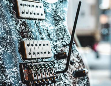 A Brief History of DIMARZIO