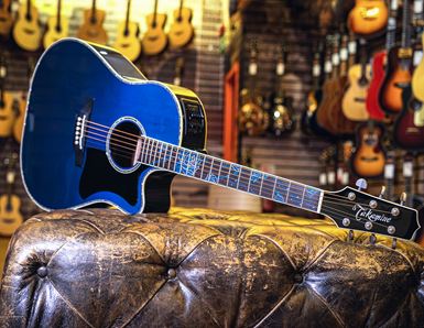 Expert Guide to Takamine Guitars