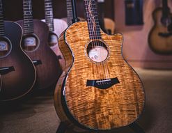 Why Taylor are the Future of Acoustic Guitars