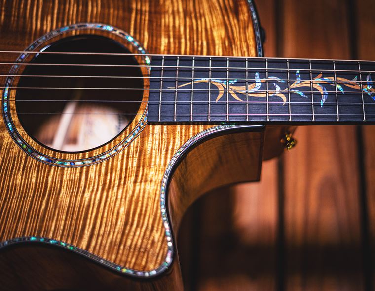 Custom Acoustic Guitar Design