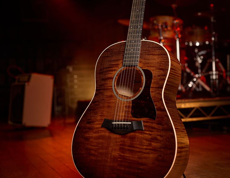 Taylor Guitars.