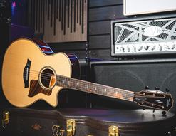 Taylor: Next Generation Guitars for 2026!