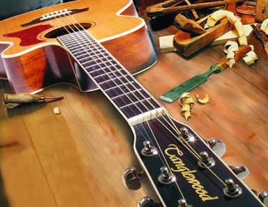 TANGLEWOOD Guitars: A Complete Guide