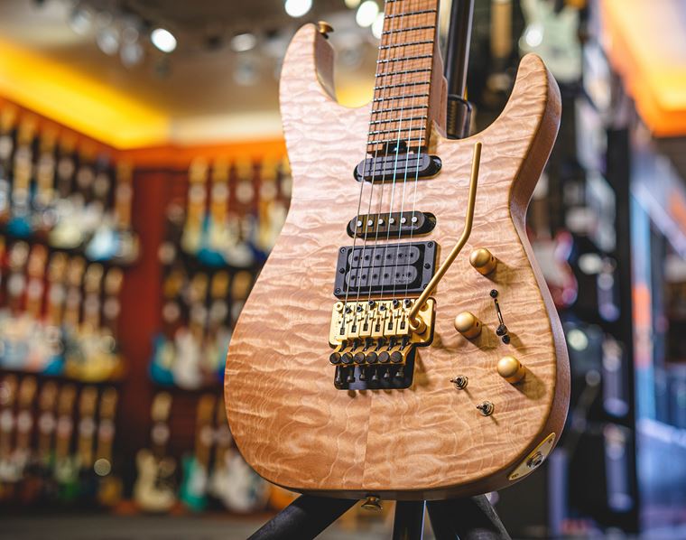 Everything You Need to Know About Guitar Whammy Bars