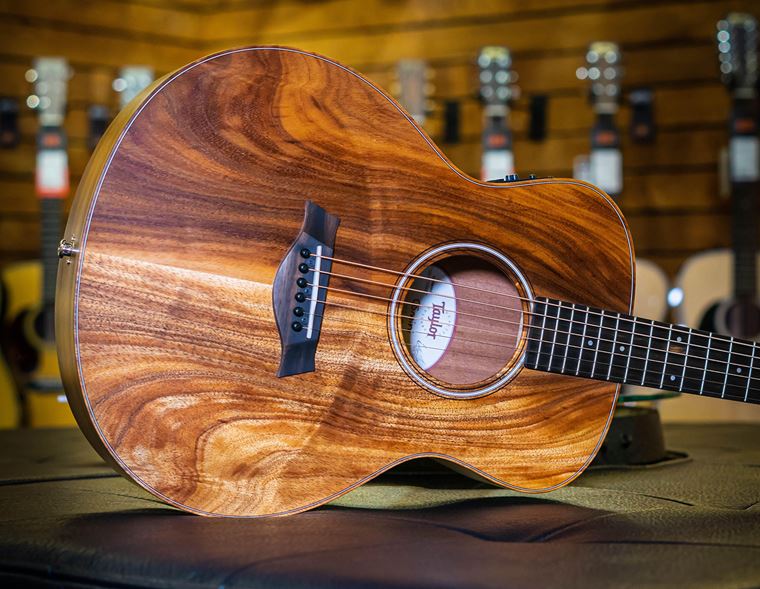 Offers: Taylor 0% Finance and FREE Baby Taylor