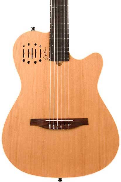 Godin Multiac