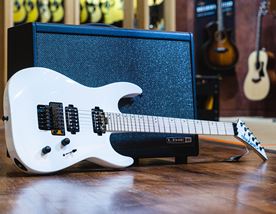 Our In-Depth Guide to the JACKSON DINKY